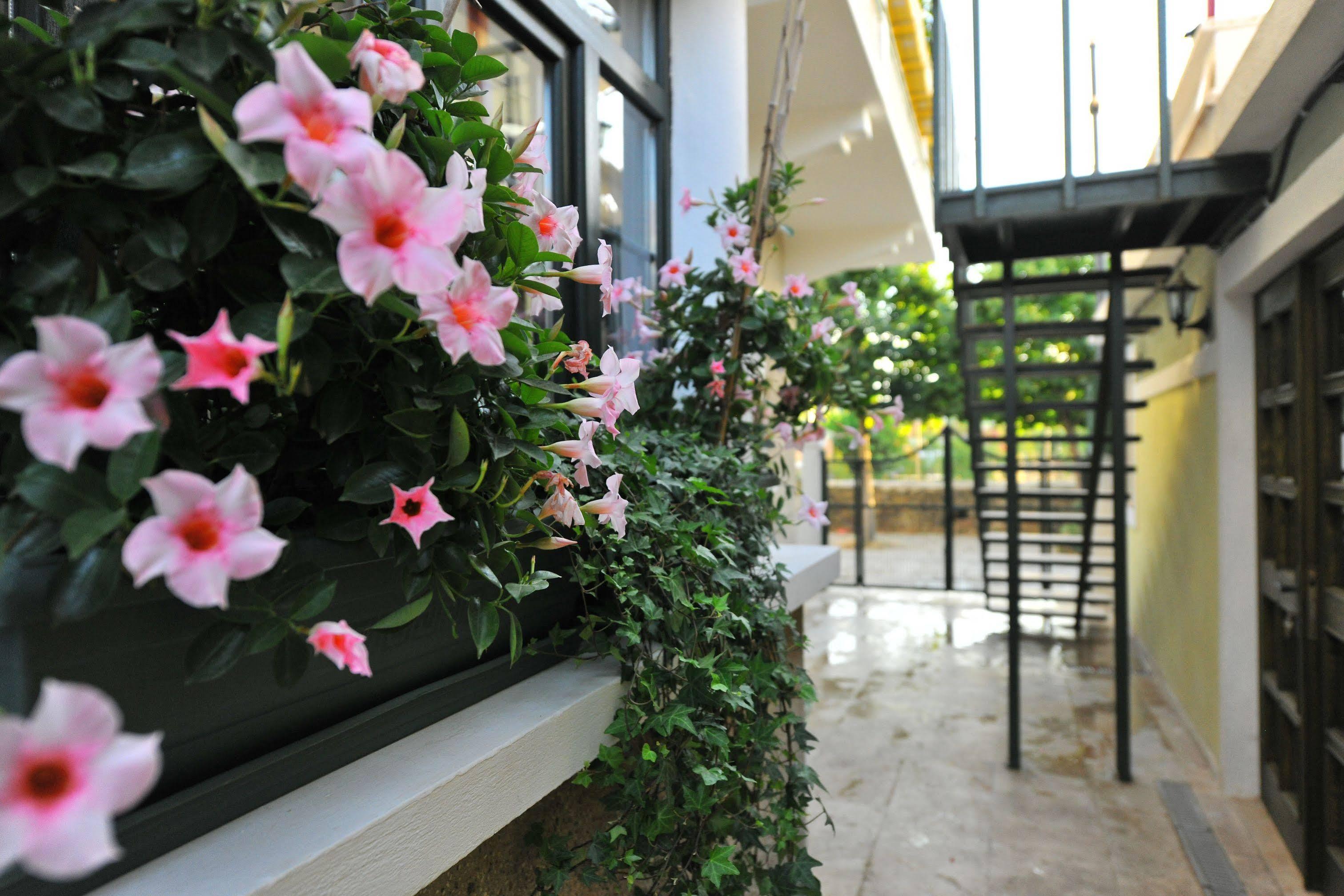 Petrino Gökçeada Hotel&Kitchen İmroz Exterior foto